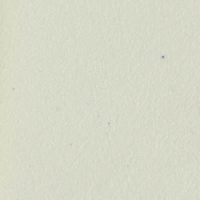 Eames Plastic Armchair RE DAR