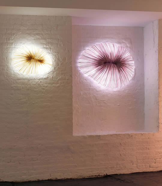 Coral Wand- und Deckenleuchte