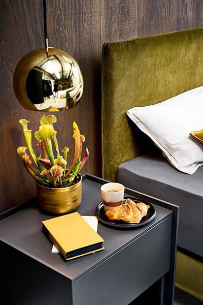 Slim Edition Boxspring Bett Taschenfederkern inkl. Matratze