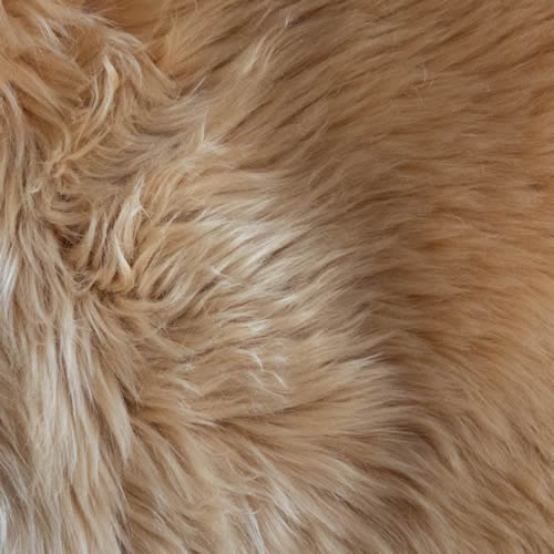 Sessel DS-265 Coco