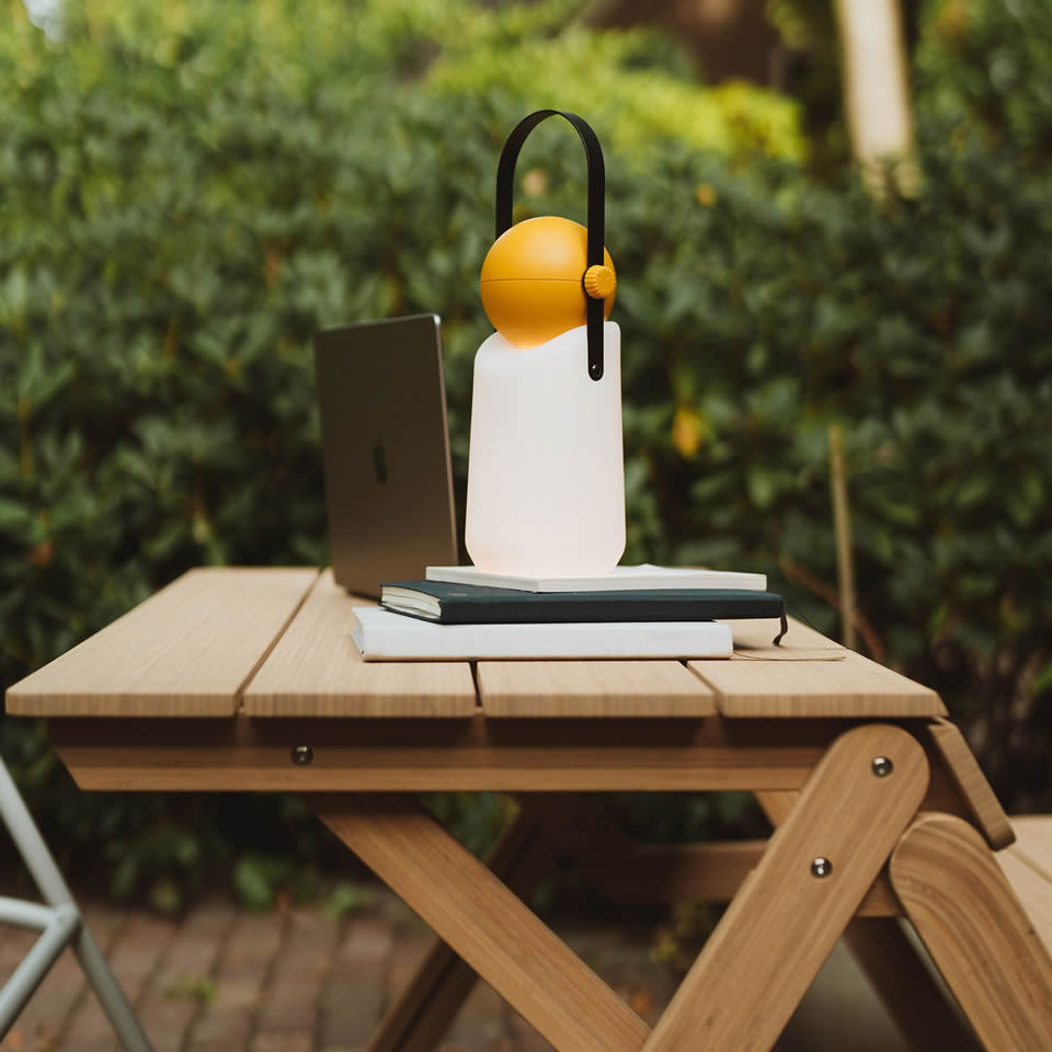 Folding Picnic Table