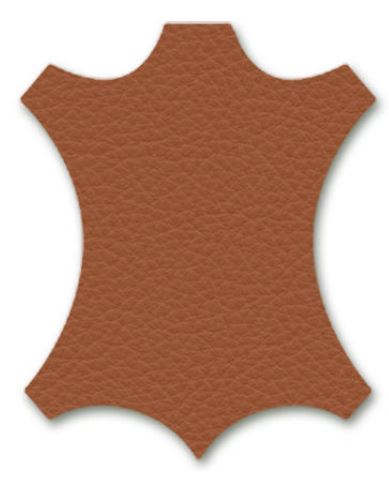 Lobby Chair ES 104 Leder Premium F