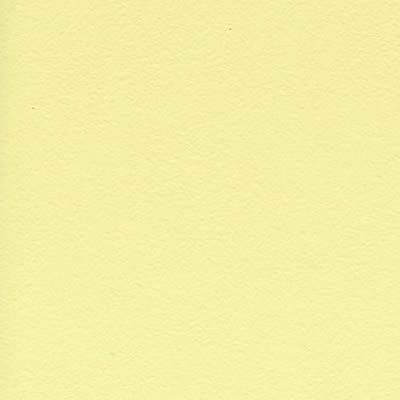 Eames Plastic Side Chair RE DSX