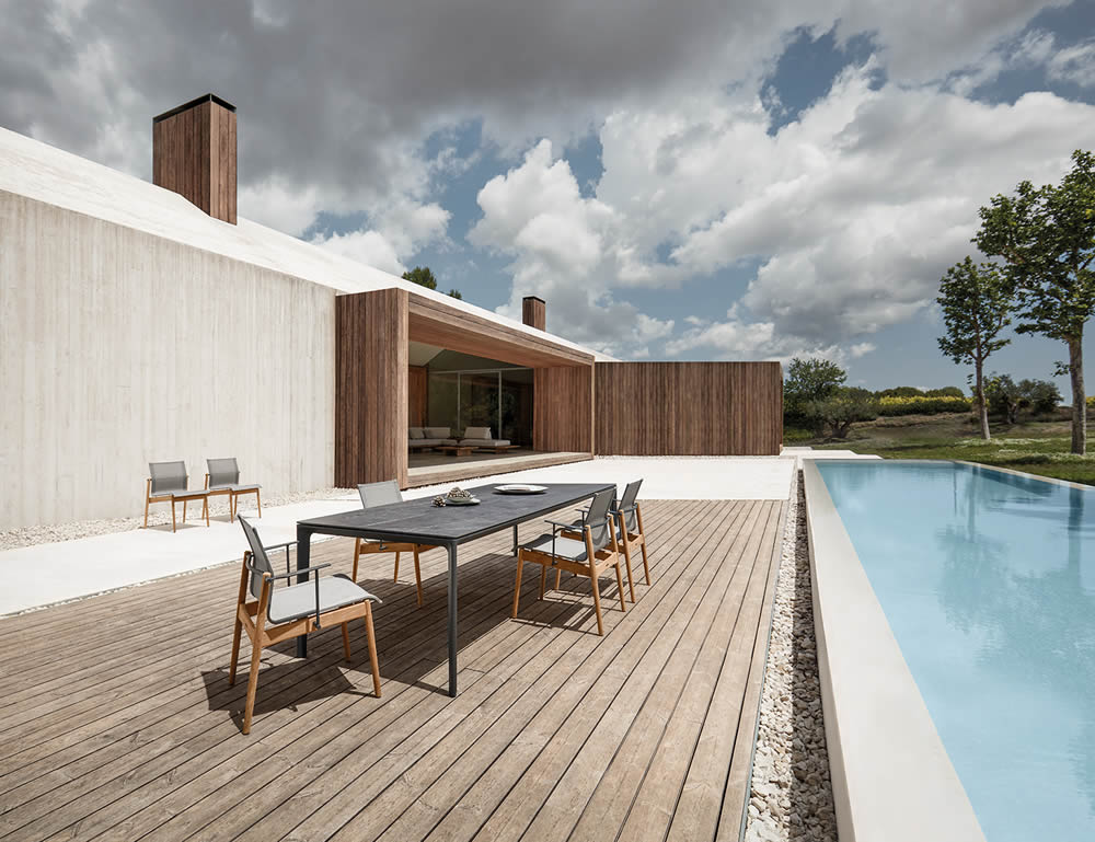 Sway Dining Armchair Armlehnstuhl