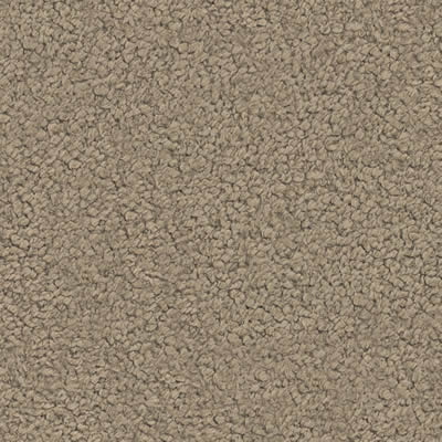 ECHT Rücken 90x25 cm