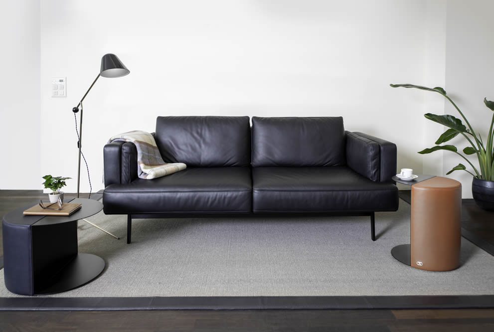 Sofa DS-747