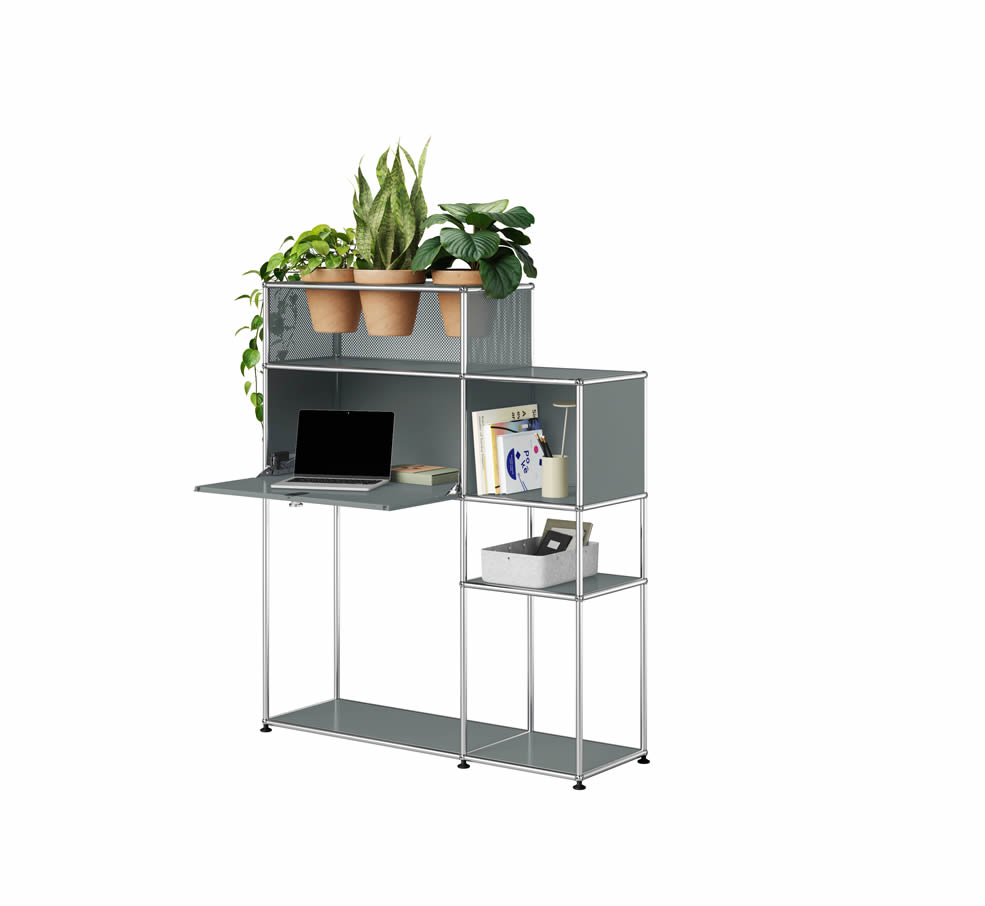 Homeoffice Pflanzenwelt