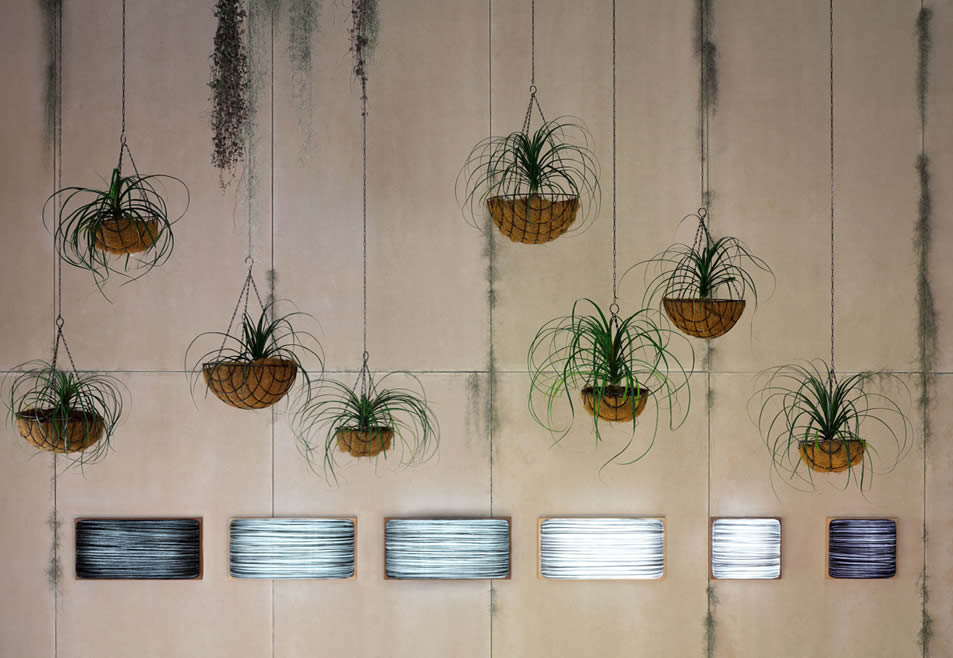 Simon Says Wand- und Deckenleuchte