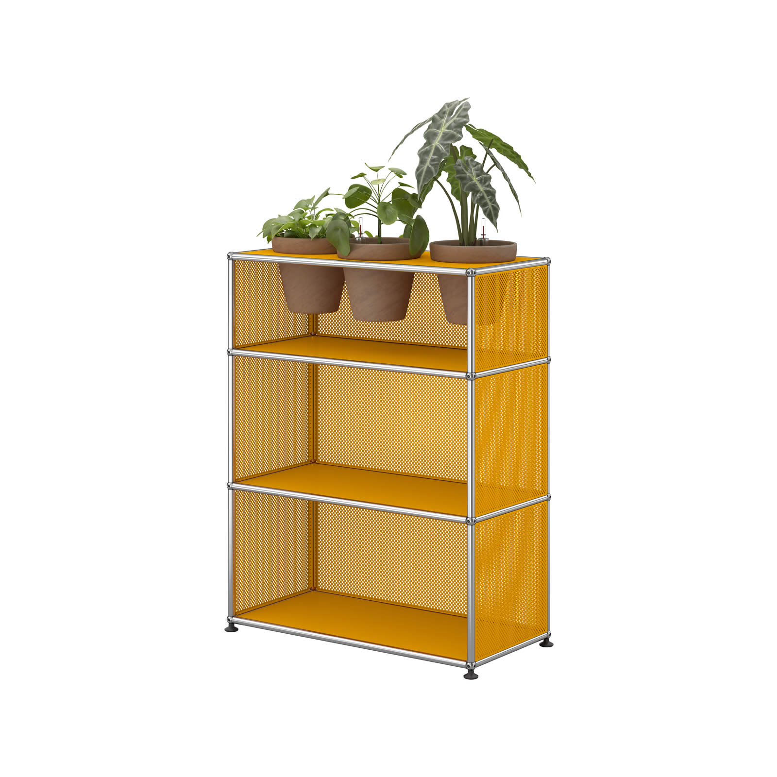 Pflanzenwelten Regal M56