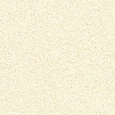 ECHT Rücken 70x25 cm