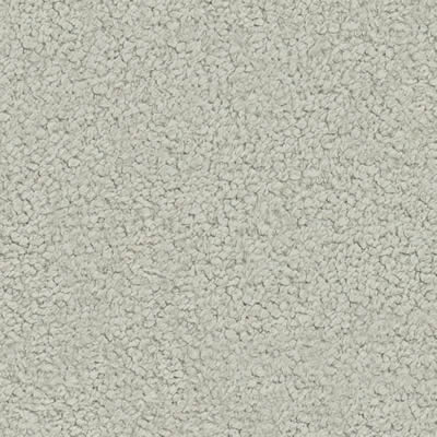 ECHT Rücken 70x25 cm