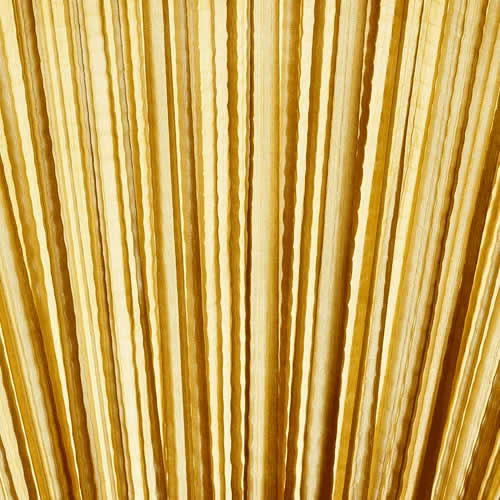 Simon Says Wand- und Deckenleuchte