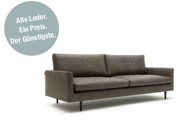 Sofa freistil 134