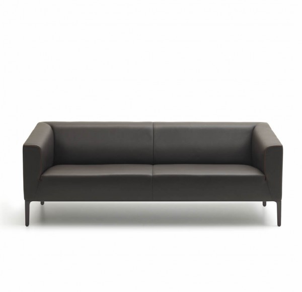 Sofa DS-161